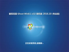 ѻ԰Ghost Win8.1 X32 װ2016V10(輤)