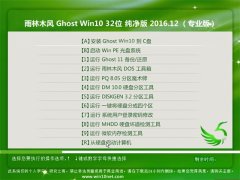 ľGhost Win10 32λ V2016.12(⼤)