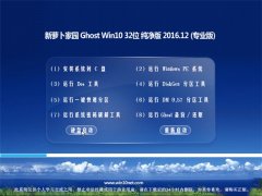 ܲ԰Ghost Win10 X32λ ŻV201612(Զ)