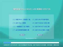 ѻ԰Ghost Win8.1 X64 רҵv2017.06(Զ)