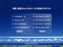 ܲ԰Ghost Win8.1 (X32) ǿ2017v06()