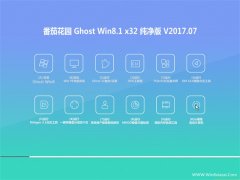 ѻ԰Ghost Win8.1 x32λ ٷV201707(ü)