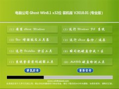 Թ˾Ghost Win8.1 (32λ) װv2018.01(⼤)