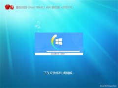 ѻ԰Ghost Win8.1 (64λ) װv201901()