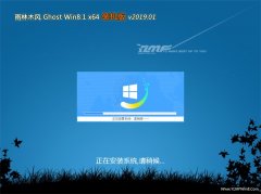 ľGhost Win8.1 x64λ װv201901()