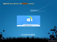 ľGhost Win8.1x86 װ2019.02(Լ)