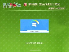 ܲ԰Ghost Win8.1x86 ͨװv2019.02(輤)