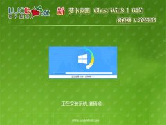 ܲ԰Ghost Win8.1 (X64) ȫװv201903(Լ)