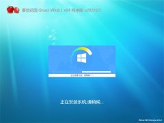 ѻ԰Ghost Win8.1 64λ ´201903(⼤)