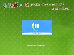 ܲ԰Ghost Win8.1x86 رװV201903()