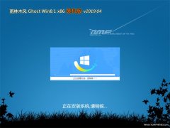 ľGhost Win8.1x86 װ2019v04(ü)