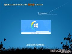 ľGhost Win8.1 (X64) رװv201905()