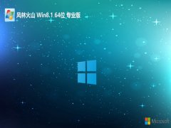 ֻɽ⼤win8.1 64λЧ԰v2024.05