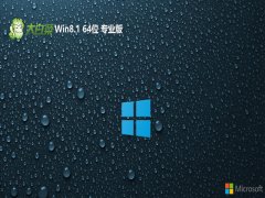 ײ64λwin8.1רעv2024.05