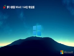 ܲ԰⼤win8.1 64λv2024.06