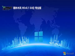 <font color='#000099'>ľ64λwin8.1v2025.05</font>