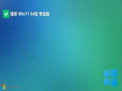 ̲ϵͳ⼤win11 64λרעv2025.05