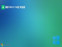 ̲ϵͳ⼤win11 64λרעv2024.04