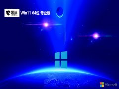 ϵͳwin11 64λ޲v2025.05