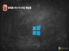 ëwin10⼤64λϻܰv2025.05