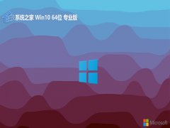 ϵͳ֮win10 64λ ⼤ϻɰv2025.05