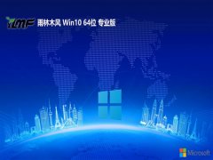 ľwin10ؿ쳬64λv2025.05