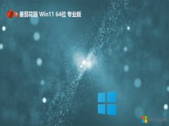 ѻ԰win11רҵ64λv2025.05⼤
