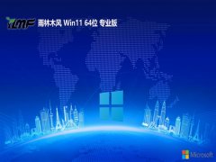 ľ64λwin11پv2025.05