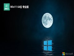 ʿwin11ذ64λv2025.05⼤