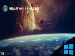 Թ˾win11׼64λv2025.05