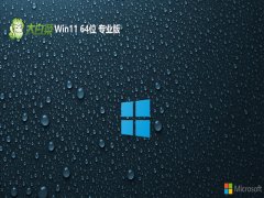 ײwin11 64λʽv2025.05