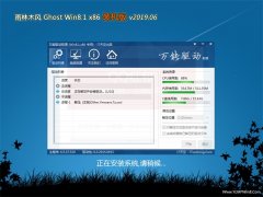 ľGhost Win8.1x86 ͨװV2019.06()