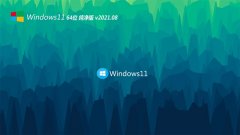 ϵͳ֮Windows11 64λ 2021.08