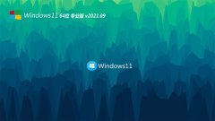 系统之家Windows11 多驱动装机版64位 2021.09