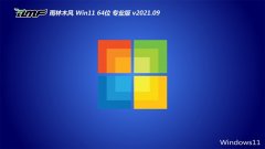 雨林木风Windows11 64位 抢先装机版 2021.09